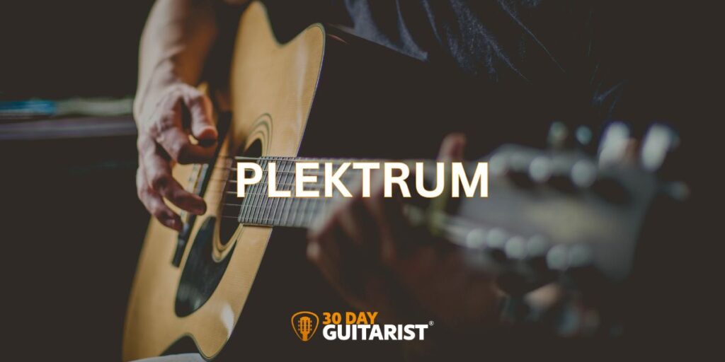 Plektrum